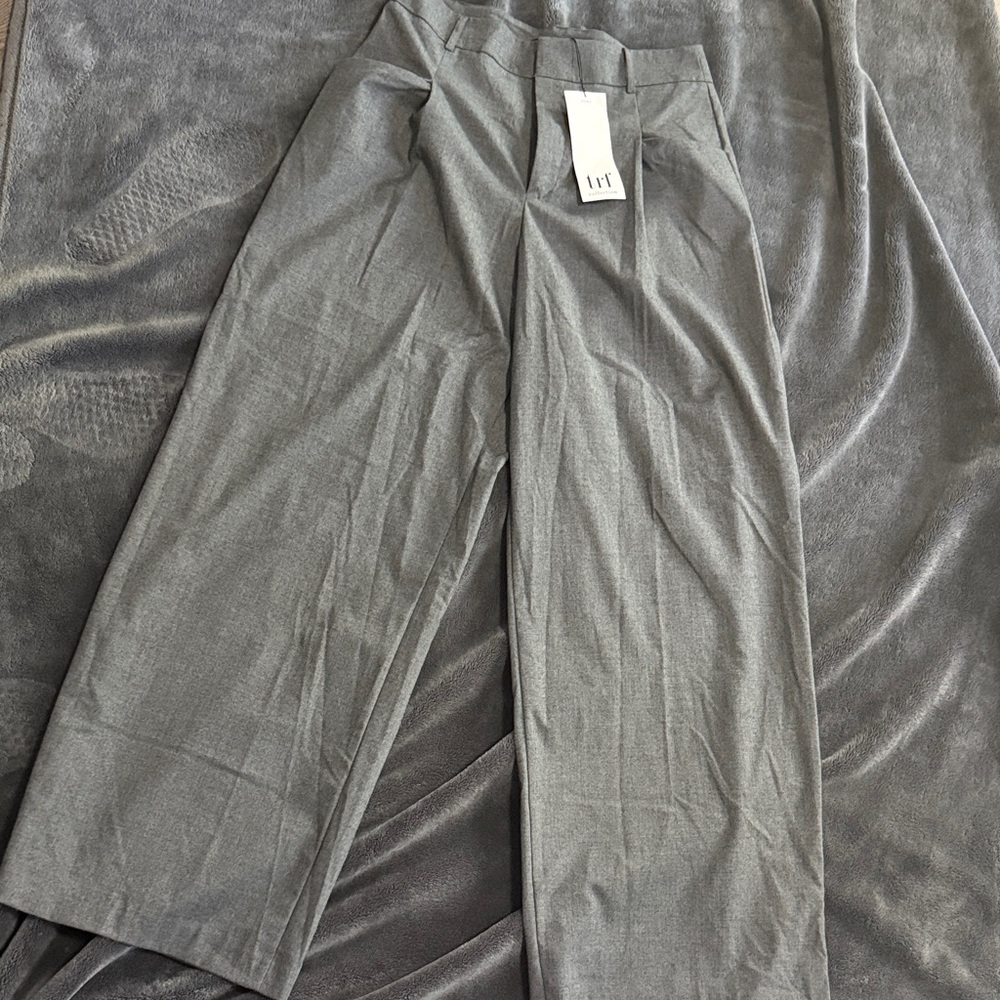 Zara TRF Classic Gray Pants